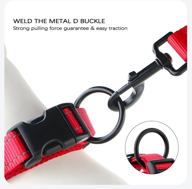 5baf9154-a749-432f-b299-ad455afedd39