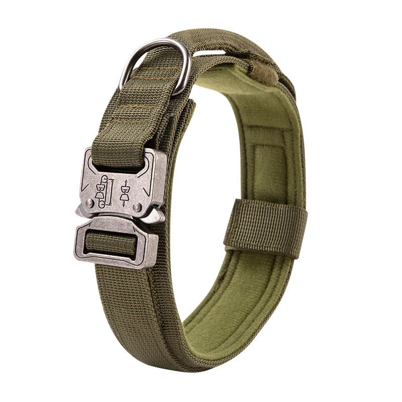 202e1cb1-3edc-4497-8ea1-0f093b305e87