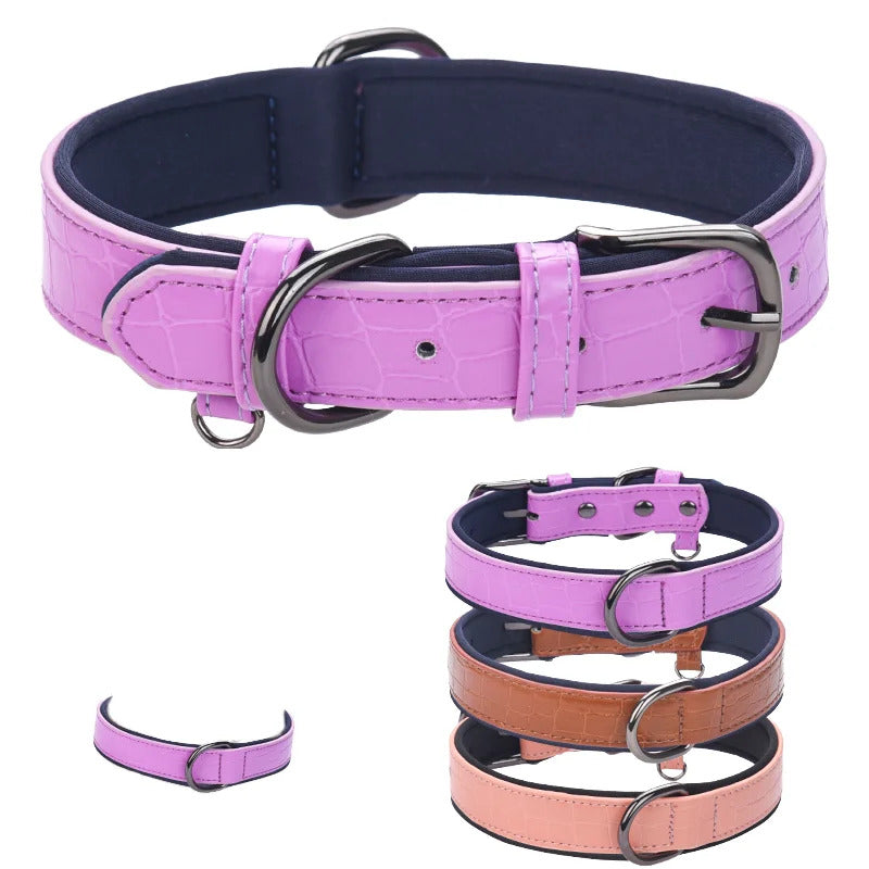 2a1855e4-2ecd-47f1-871f-5a3eafa92fe3