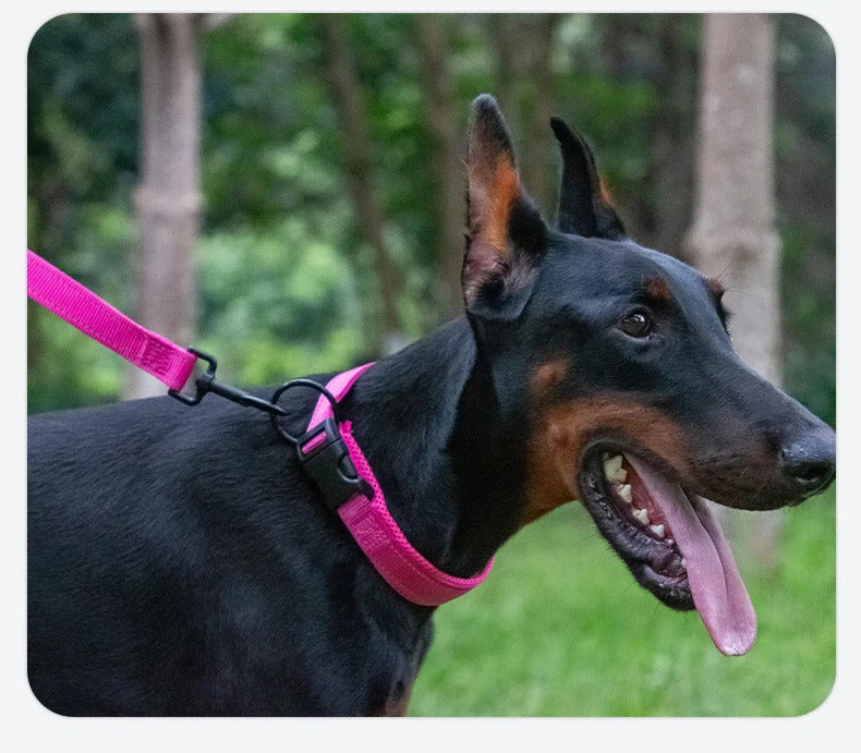 193a7db0-d9bb-4ea3-a433-7225c4d7418c