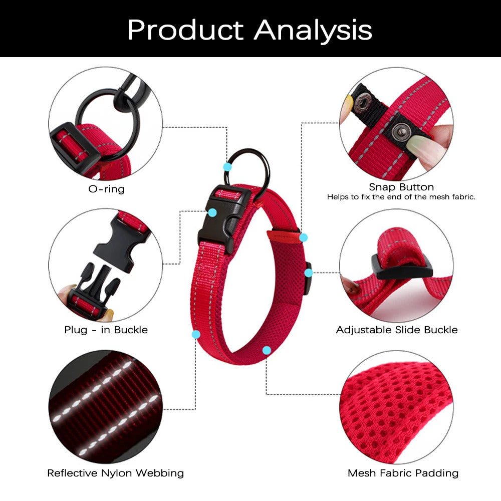 ea5e2297-a229-4a3f-ab73-787d674f4282