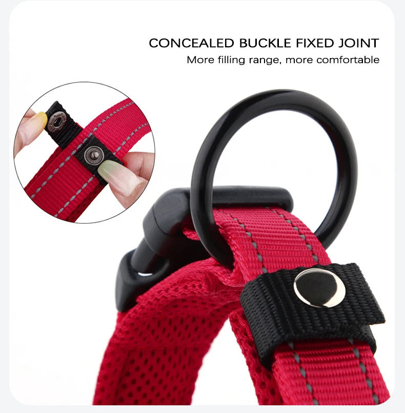 312e48e3-839e-4796-ac49-e38671f96f9a