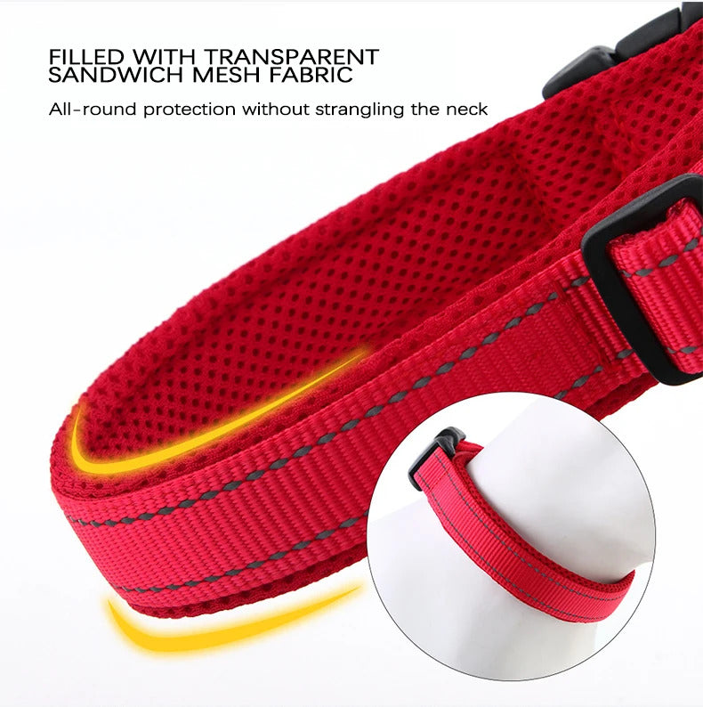 aa6c7f20-0b0f-4cbe-bbf7-d4e13bf60018