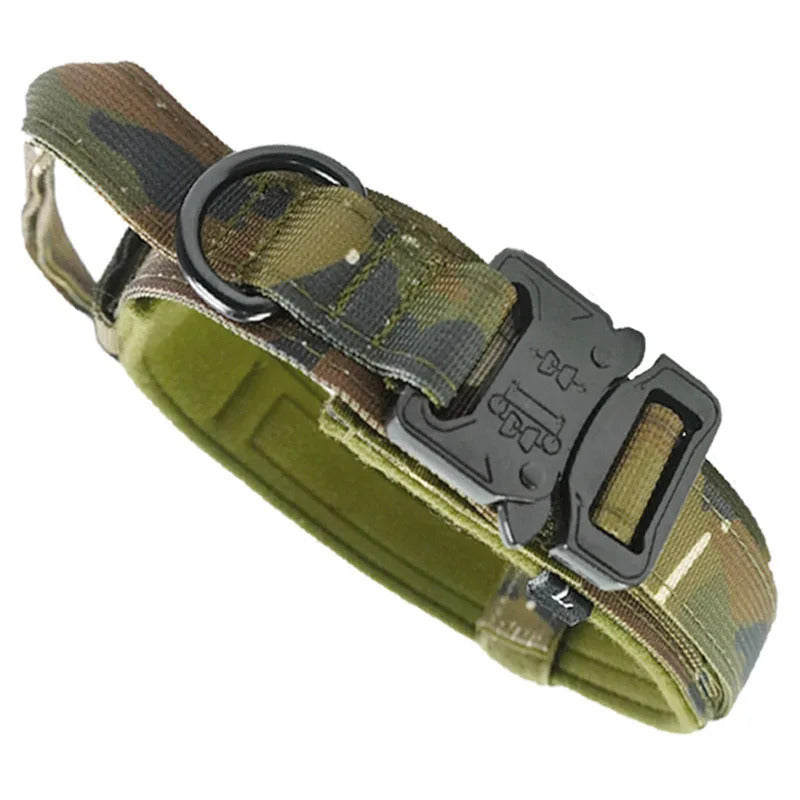 7f82b1fa-7edc-460f-86c4-c78a41d59395