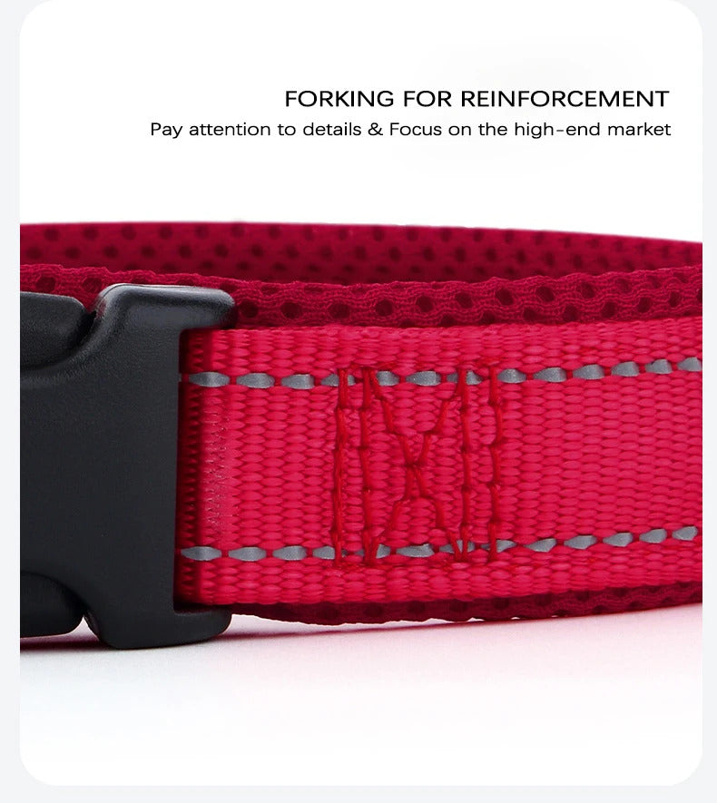 a1c9e9d6-15e4-4e61-bab9-77accaa2be09