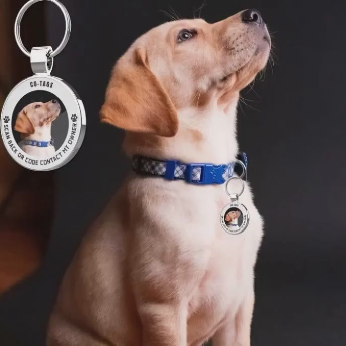 Custom Engraved Pet ID Tags – Eco-Friendly Personalized Dog Tags for Cats & Dogs