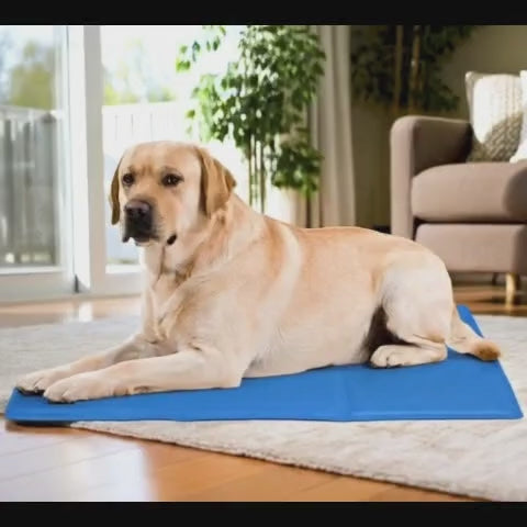 Summer Cooling Gel Pet Mat for Dogs and Cats Reusable Summer Cooling Pad with Rehabilitation Therapy Supplies